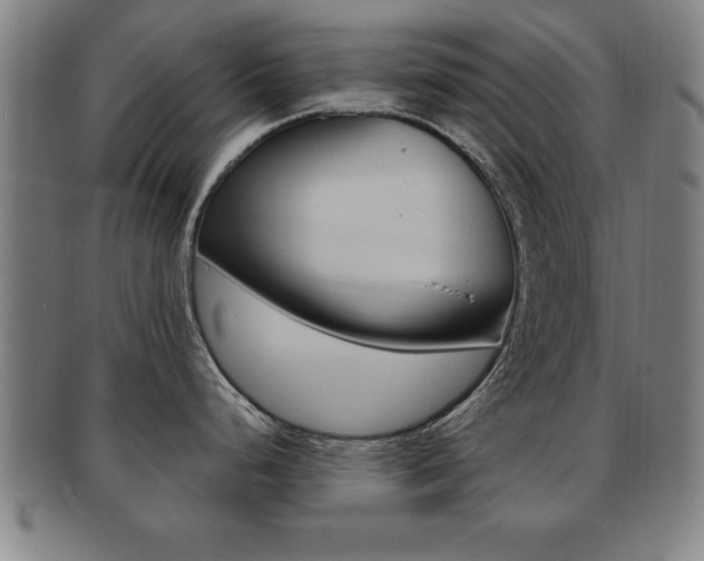 X0000091881248200709051008