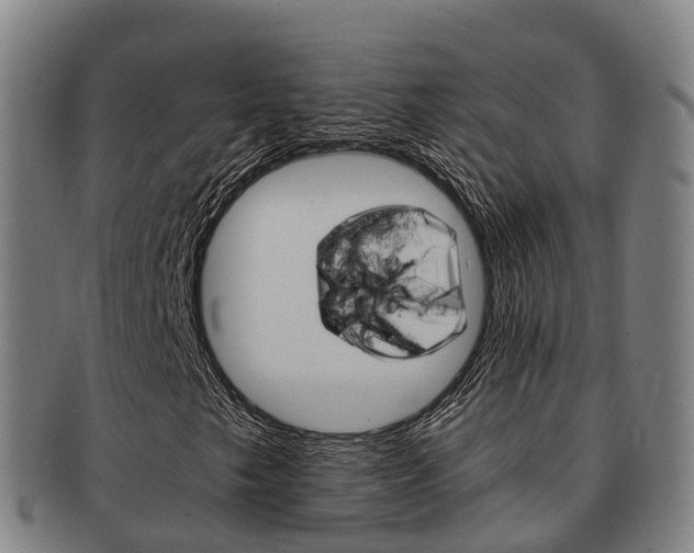 X0000091881249200709051008