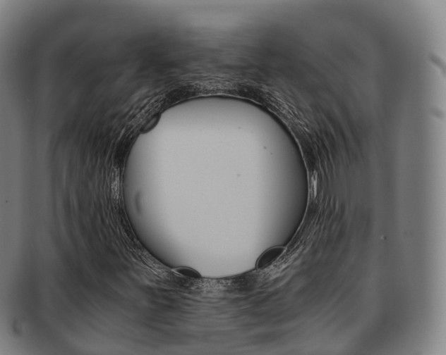 X0000091881251200709051008