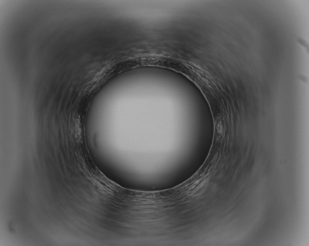 X0000091881252200709051008