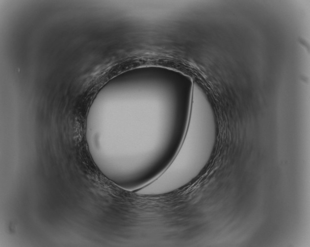 X0000091881253200709051008