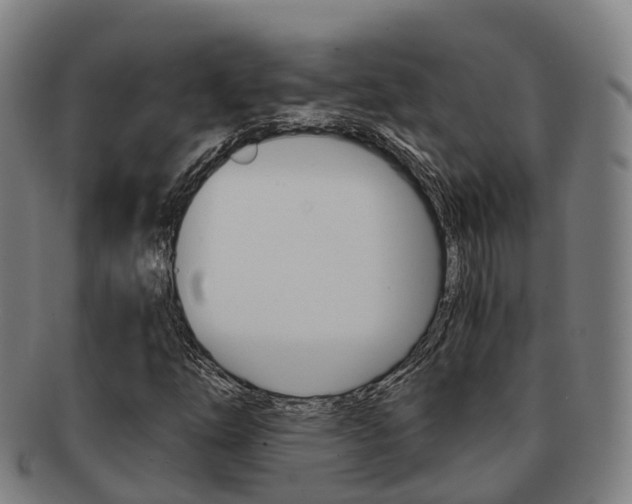 X0000091881254200709051008