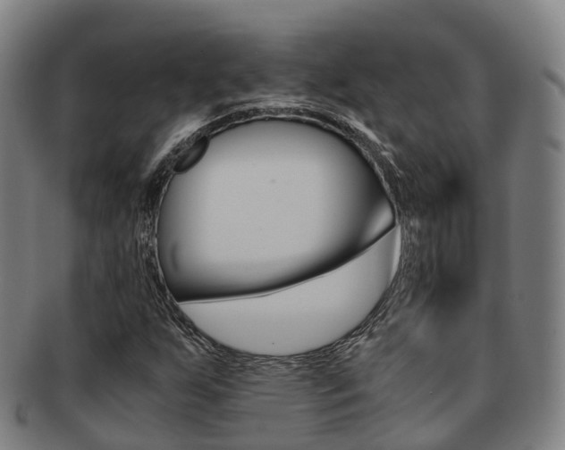 X0000091881255200709051008