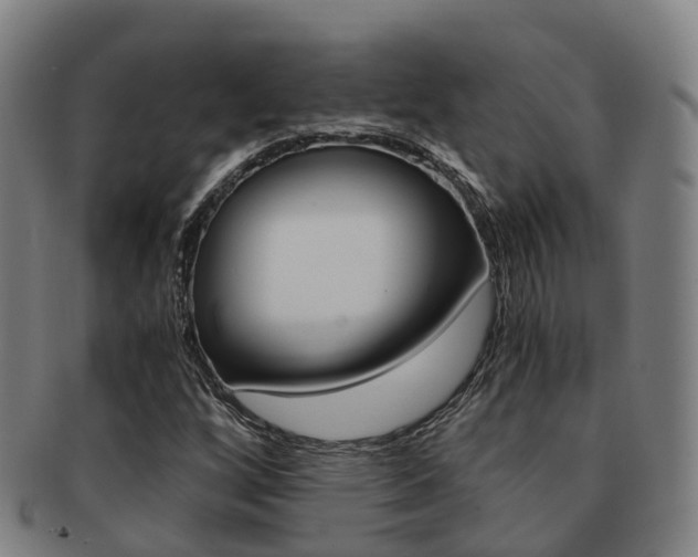 X0000091881256200709051008