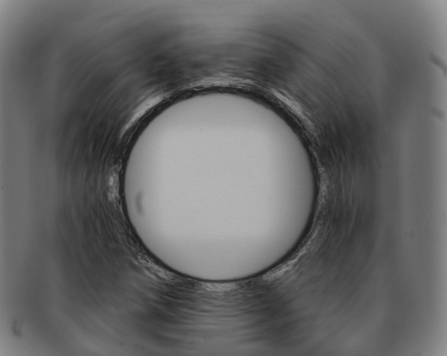 X0000091881258200709051008