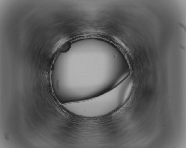 X0000091881259200709051008