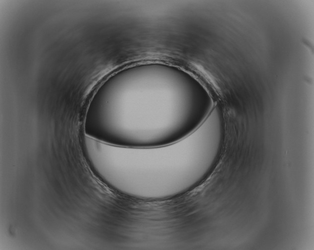 X0000091881260200709051008
