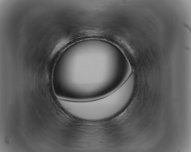 X0000091881261200709051008