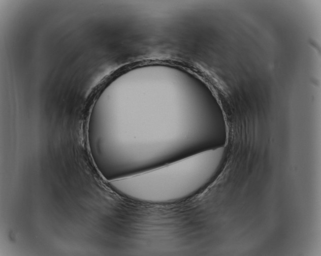 X0000091881262200709051008