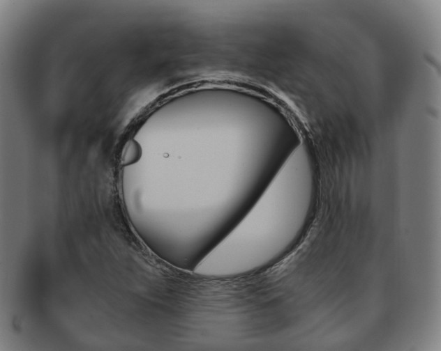 X0000091881263200709051008