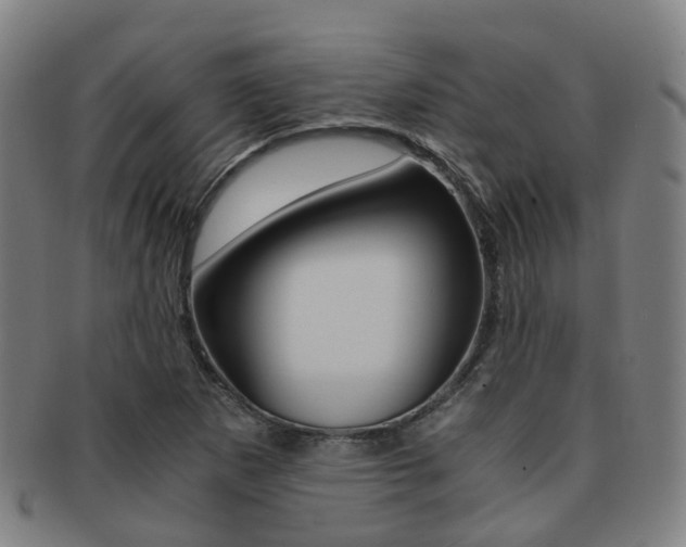 X0000091881265200709051008