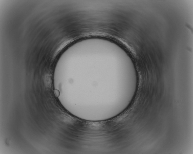 X0000091881266200709051008