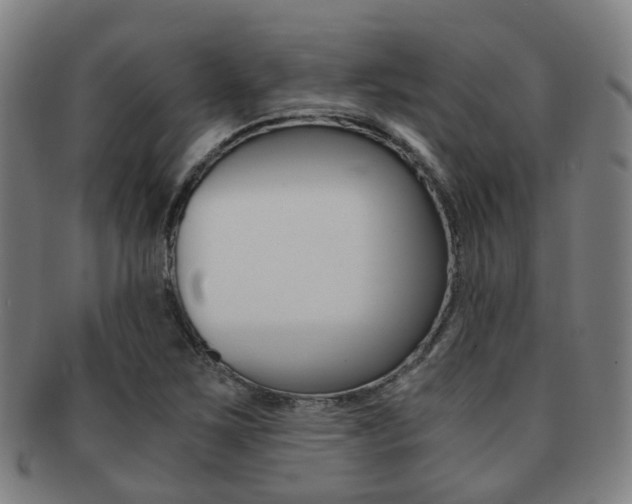 X0000091881267200709051008
