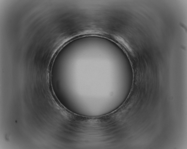X0000091881268200709051007