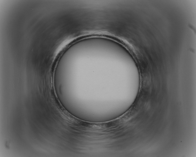 X0000091881271200709051007