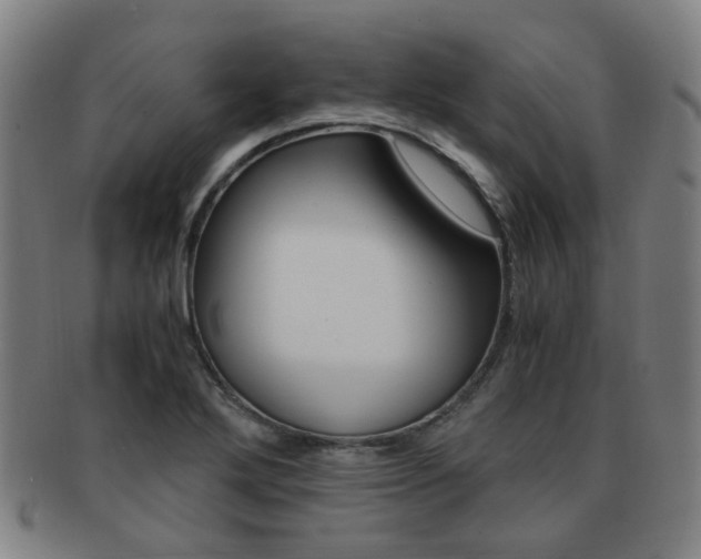 X0000091881272200709051007