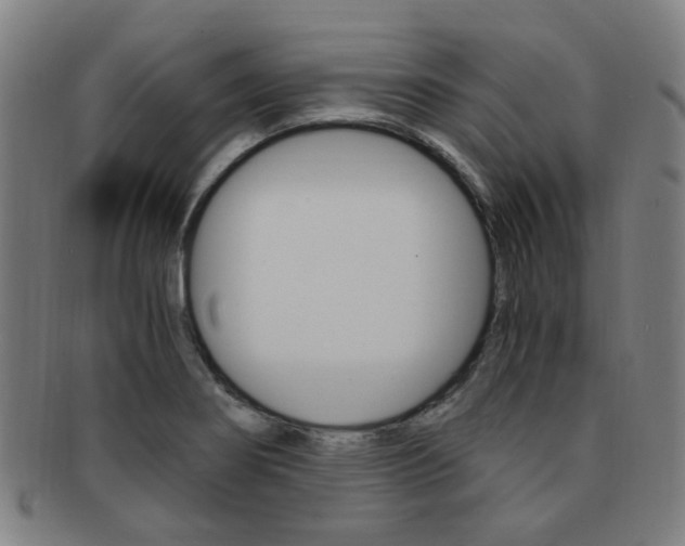 X0000091881274200709051007
