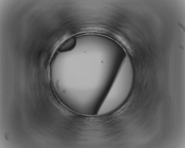 X0000091881275200709051007