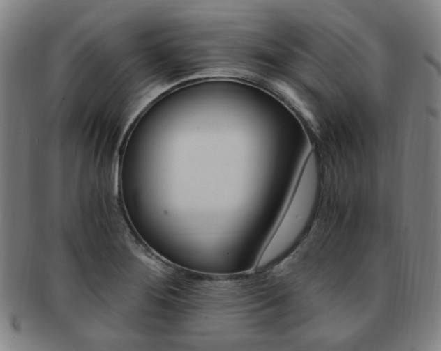 X0000091881276200709051007