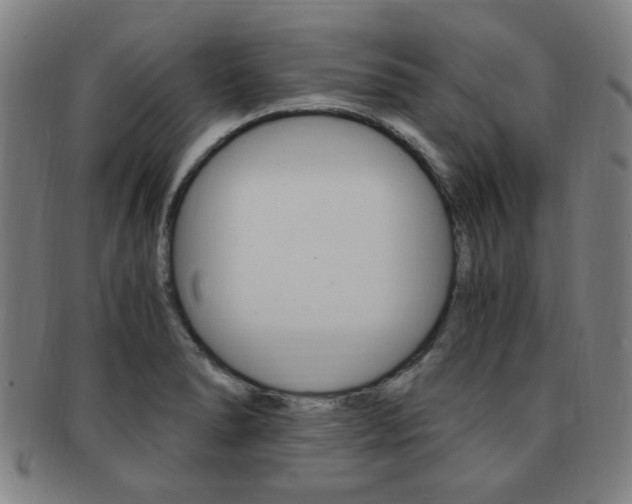X0000091881278200709051007