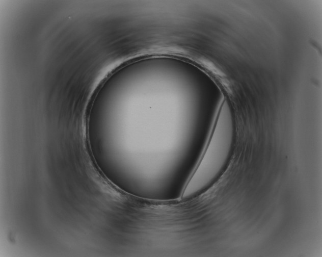 X0000091881280200709051007