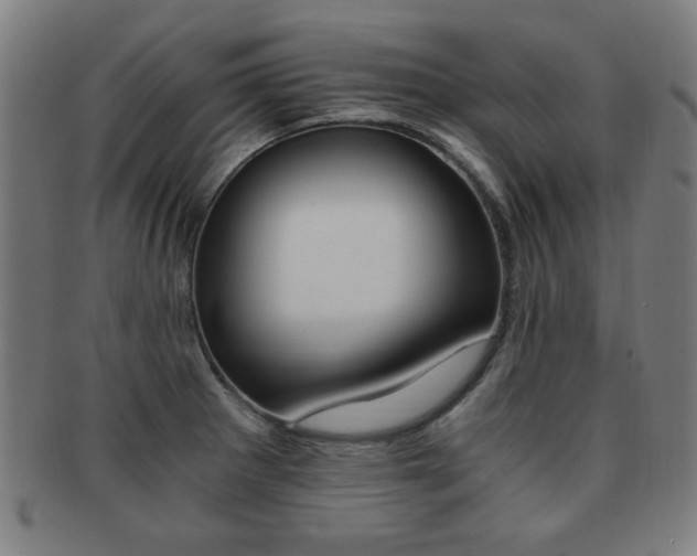X0000091881281200709051007
