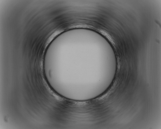 X0000091881282200709051007