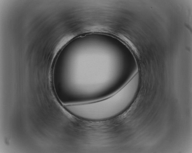 X0000091881285200709051007