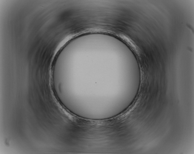 X0000091881286200709051007