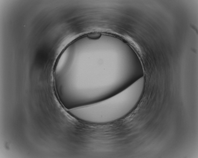 X0000091881287200709051007