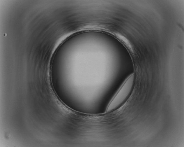 X0000091881288200709051007