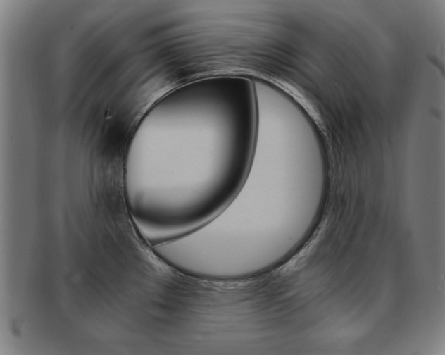 X0000091881289200709051007