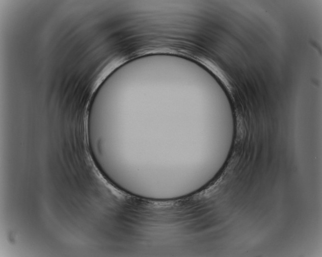 X0000091881290200709051007
