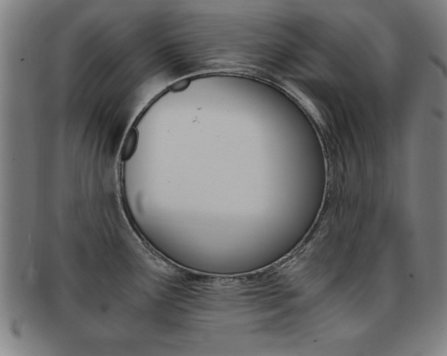 X0000091881291200709051007