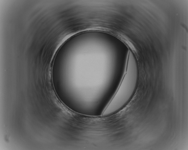 X0000091881292200709051007