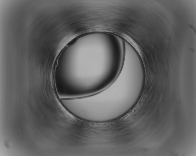 X0000091881293200709051007