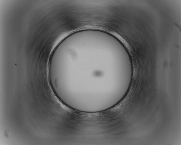 X0000091881294200709051007