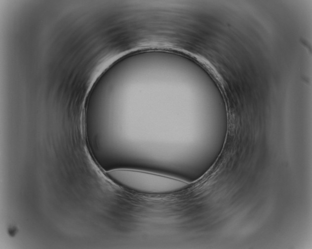 X0000091881295200709051007
