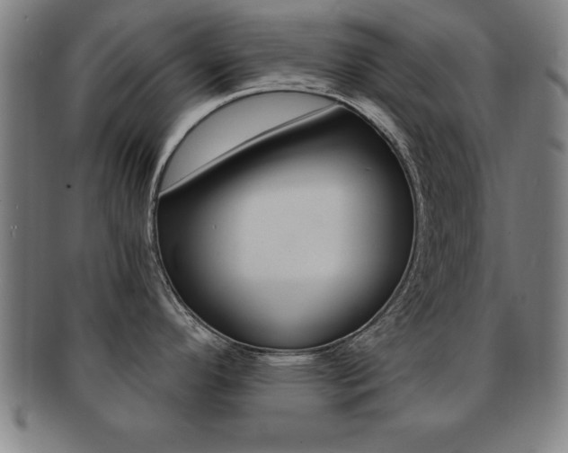 X0000091881296200709051007