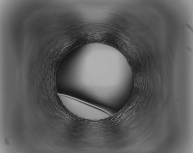 X0000091881297200709051007