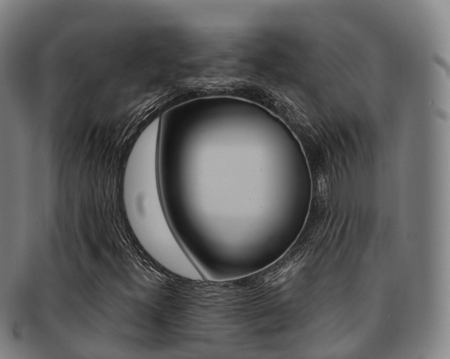 X0000091881300200709051007