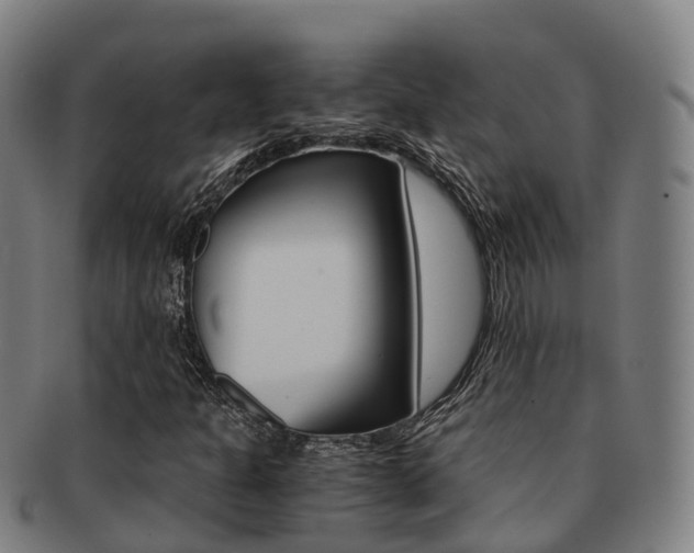 X0000091881301200709051007