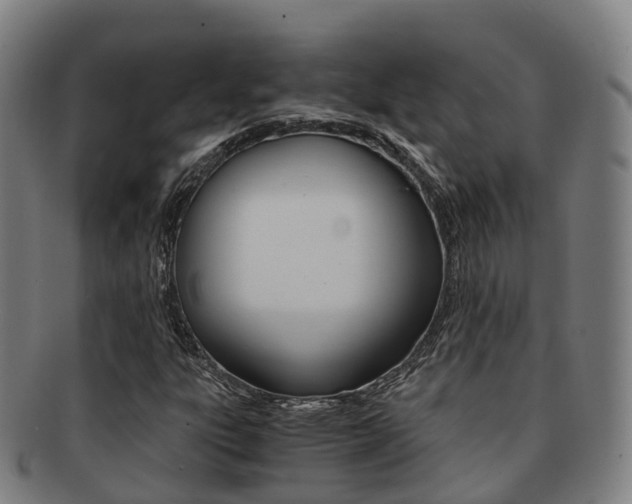 X0000091881303200709051007