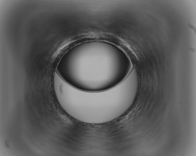 X0000091881304200709051007