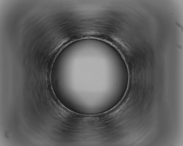 X0000091881305200709051007