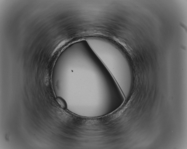 X0000091881306200709051007