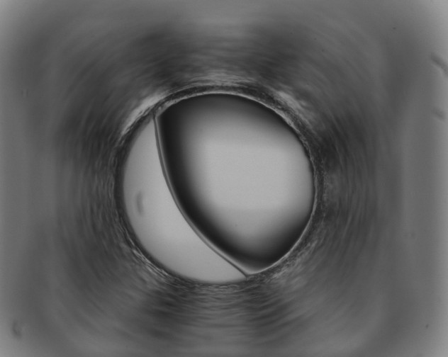 X0000091881307200709051007