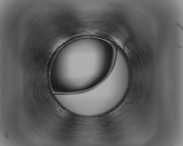 X0000091881308200709051007