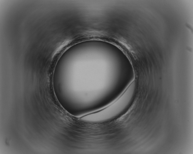 X0000091881309200709051007
