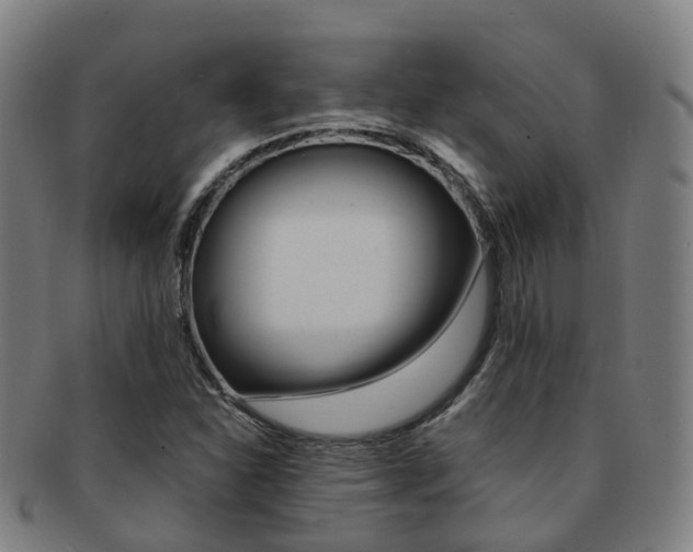 X0000091881310200709051007